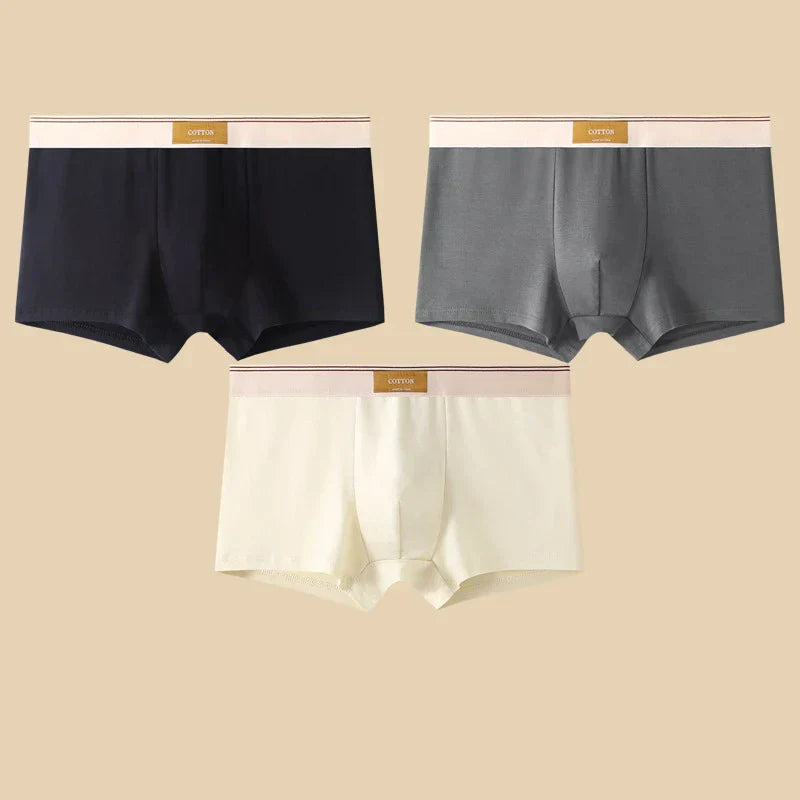 FINESSE — Cotton Serenity Briefs