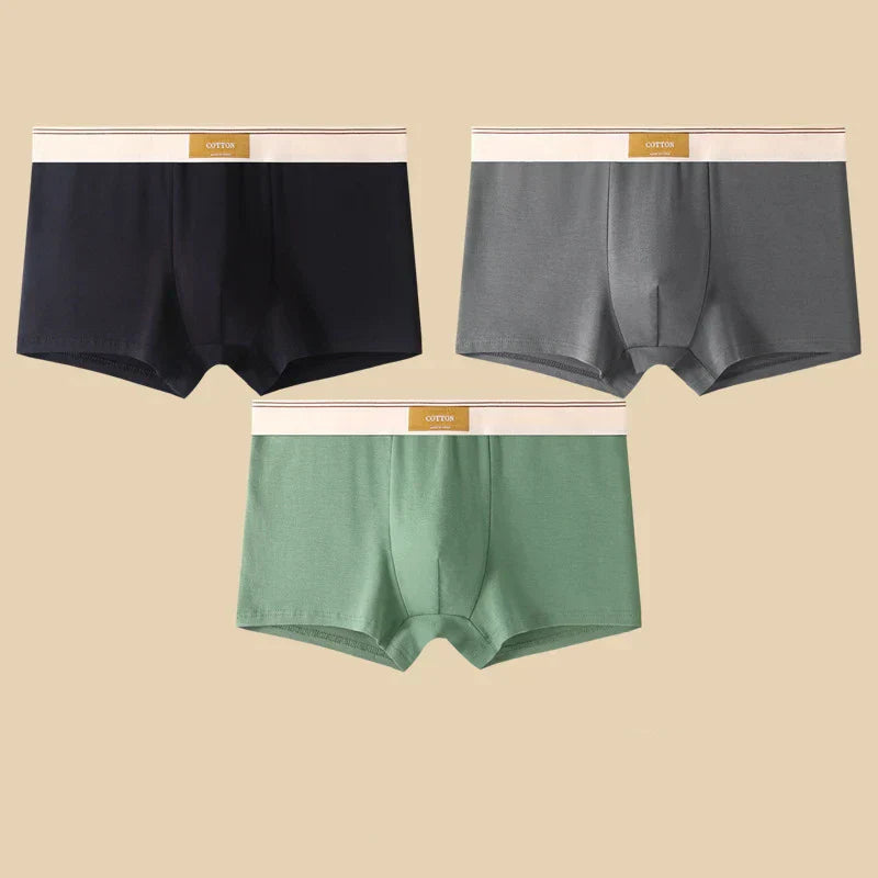 FINESSE — Cotton Serenity Briefs