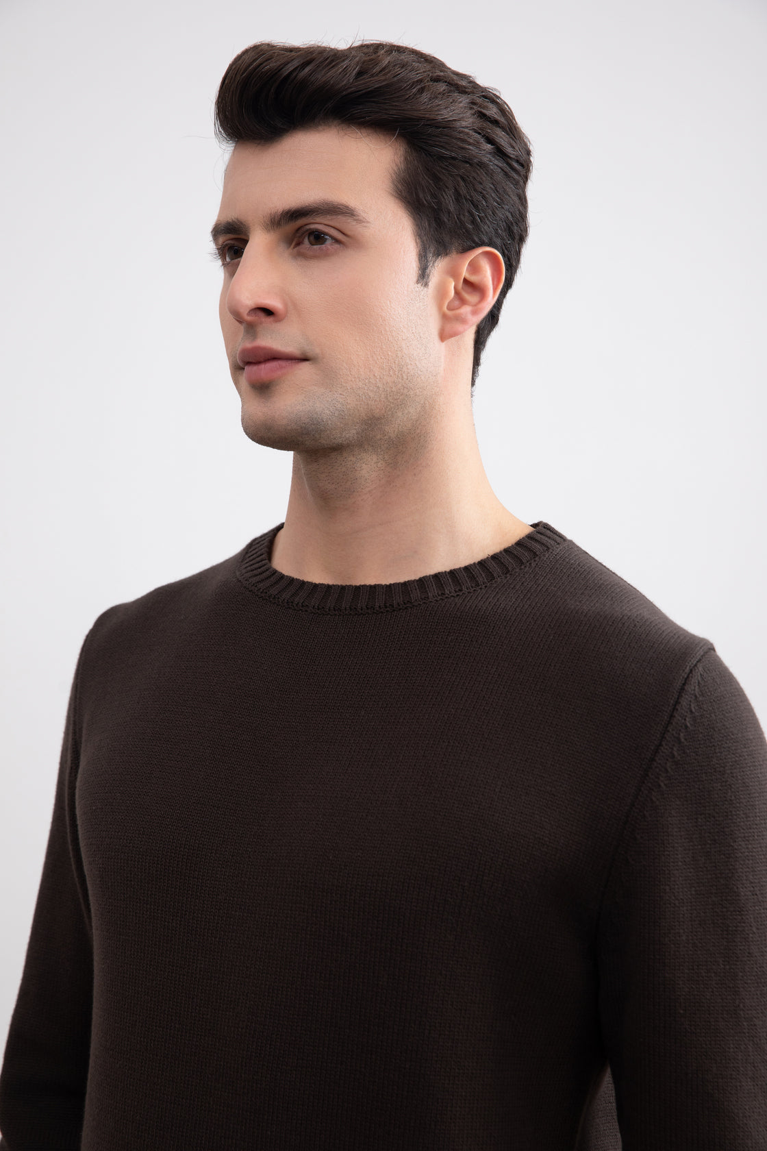 Dark Brown Cham Crewneck Sweater
