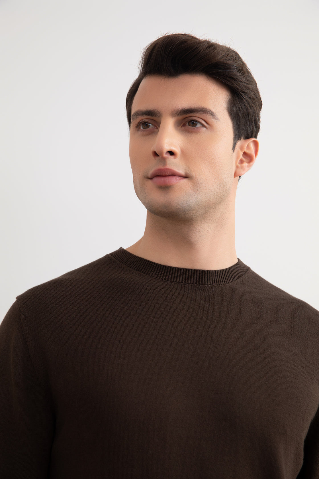 Brown Crewneck Sweater