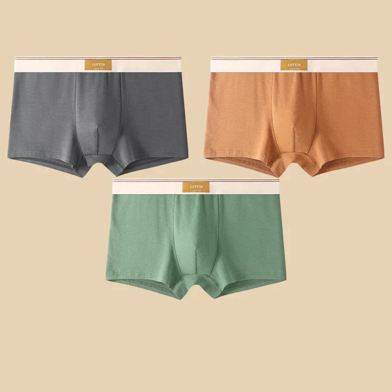FINESSE — Cotton Serenity Briefs