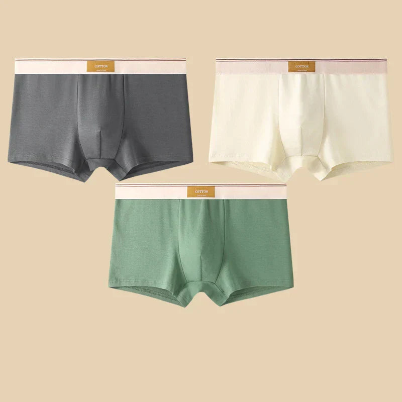 FINESSE — Cotton Serenity Briefs